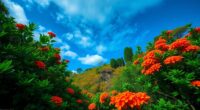 finding the right saturation