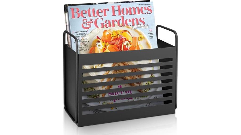 magazine and file organizer