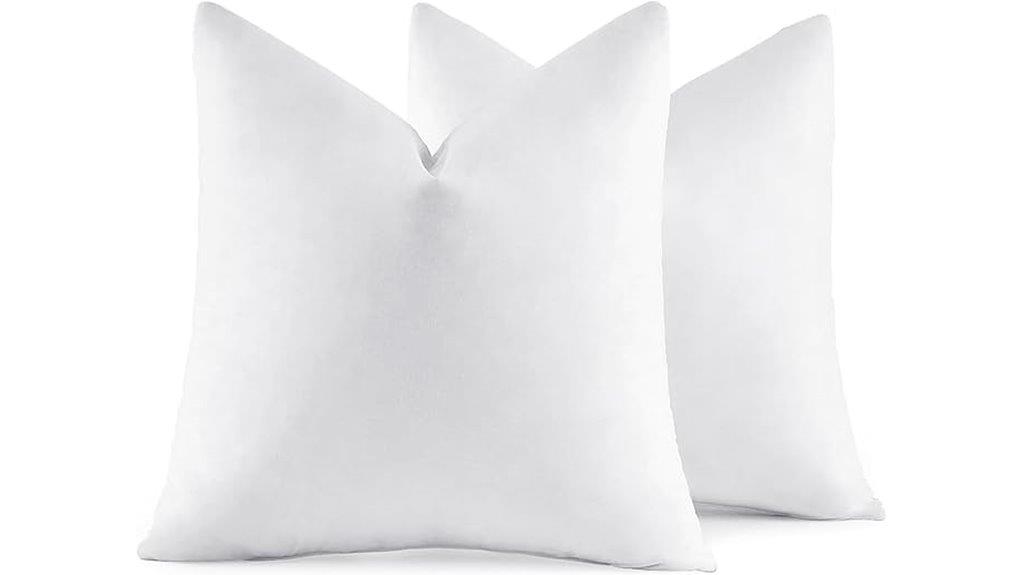 set of two euro pillow inserts