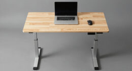 12 Best Best Adjustable Standing Desk 4 Leg Heavy Duty in 2026