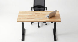 9 Best Best Executive Sit Stand Desk With Return in 2026