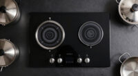 9 Best Induction Range Portable Commercial in 2026