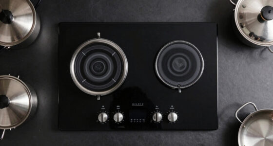 9 Best Induction Range Portable Commercial in 2026