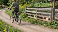 Top Links 1209 The Cost Of Chicken. UK Manufacturing Decline. Bikes In The Wild West & Greek Empire.